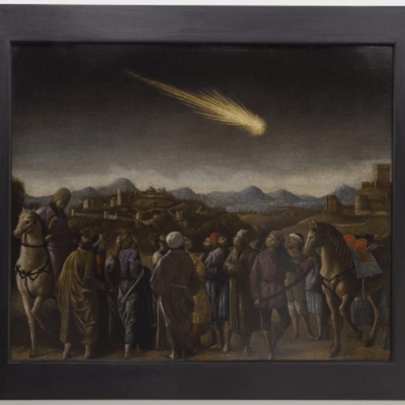 Laurent Grasso 洛朗·格拉索, Studies into the past（Comet）研究过去（彗星), 2014