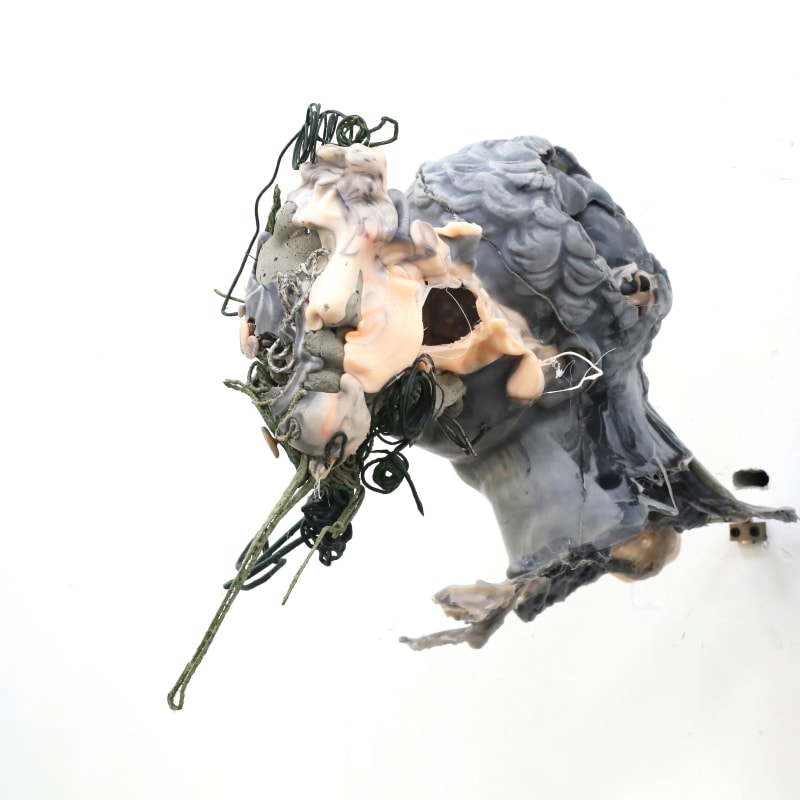 Jin Shan 靳山 , Gordion's Knot 高迪的结, 2019