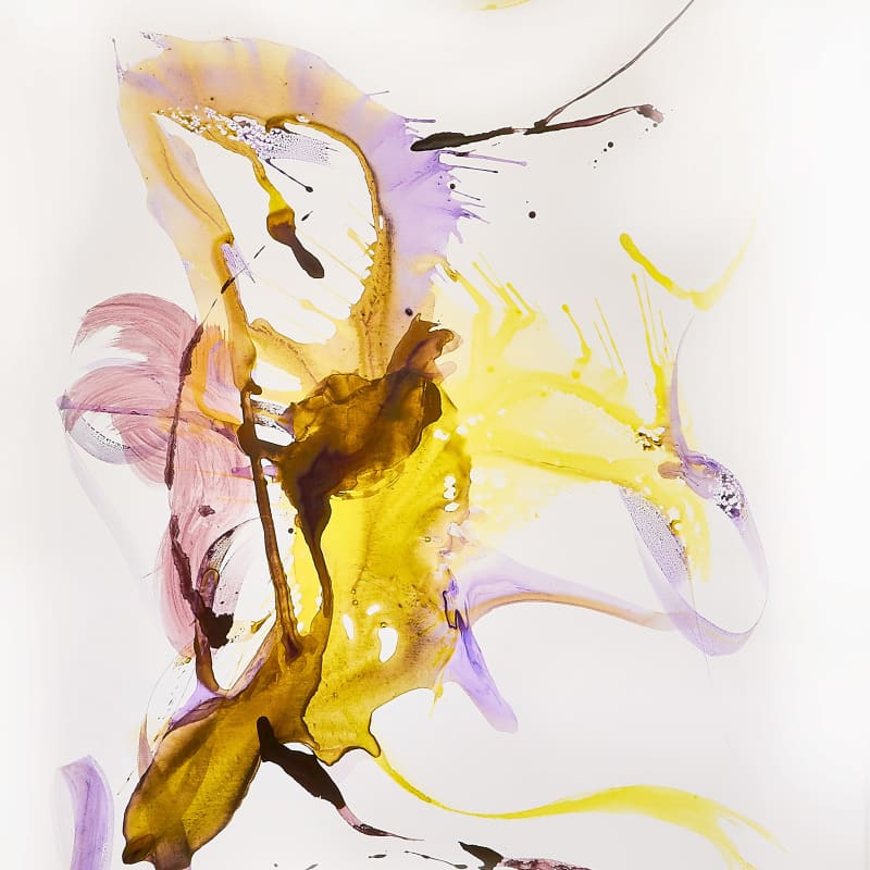 Yanyan Huang 黄彦彦, Frog Pond 蛙池, 2019
