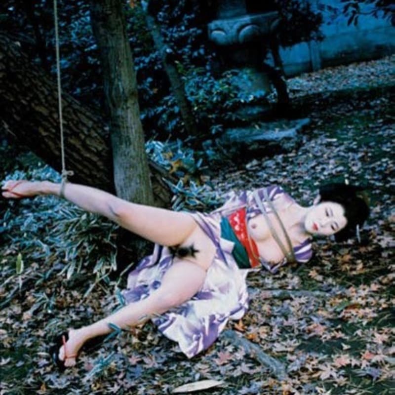 Nobuyoshi Araki, Untitled (Bondages), 2008