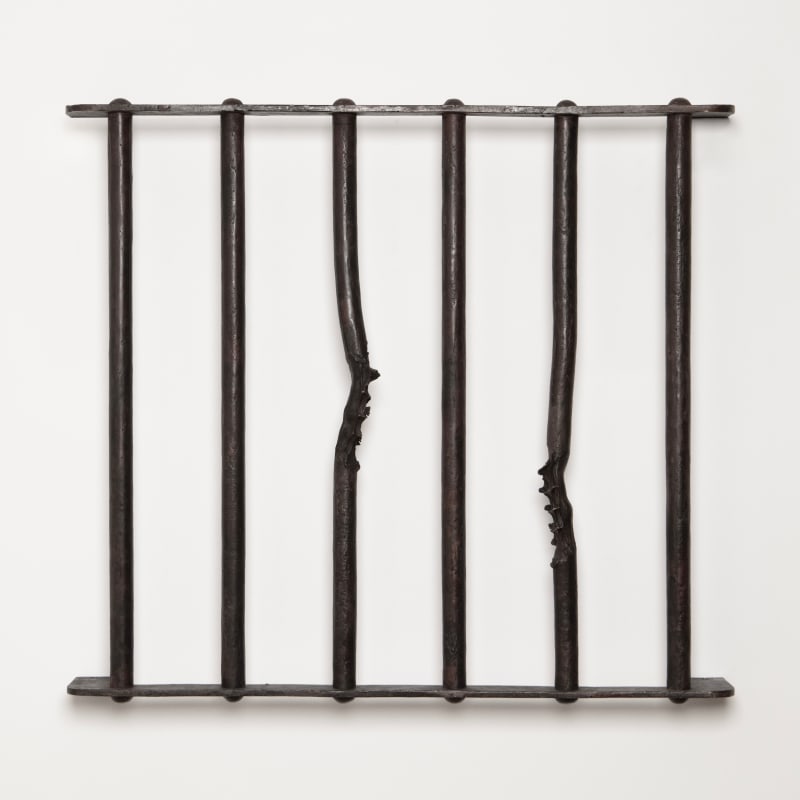 Yoan Capote, Paranoia (Anonymous Homage), 2013
