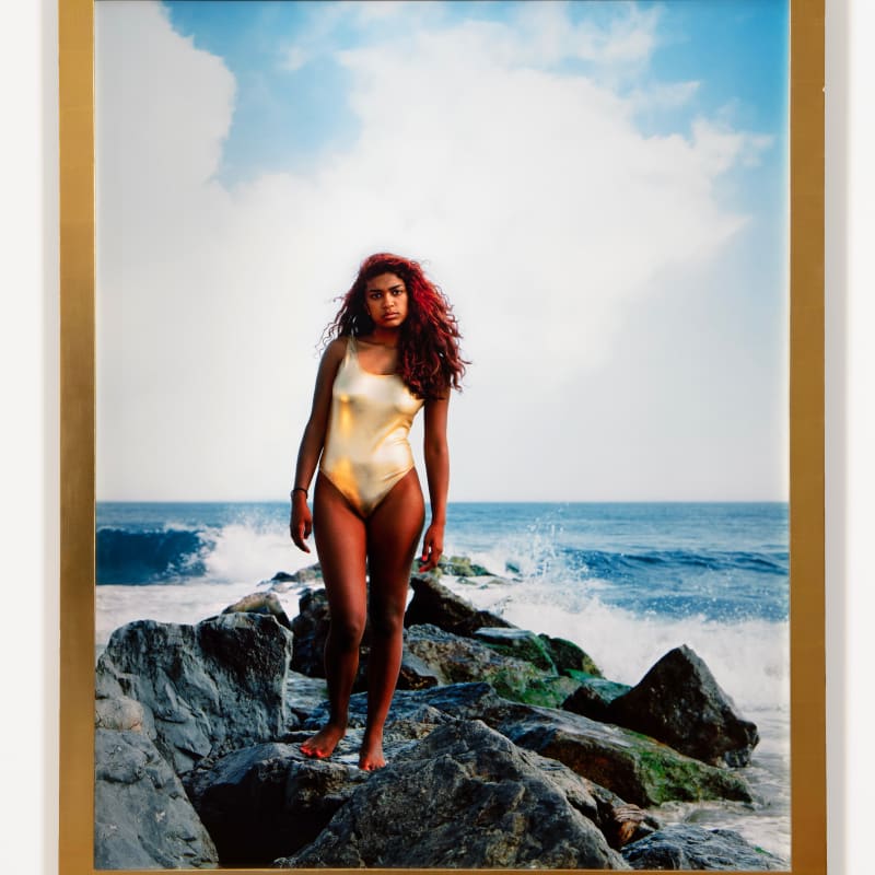 Awol Erizku, Teen Venus, 2013