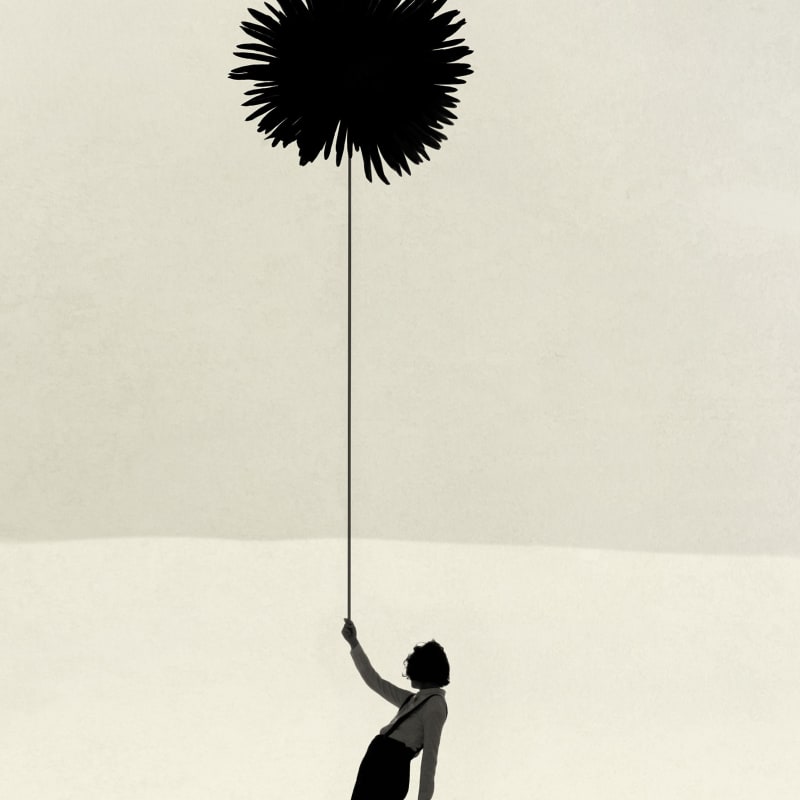 Paul Cupido, Hommage to Shoji no. 11, 2024
