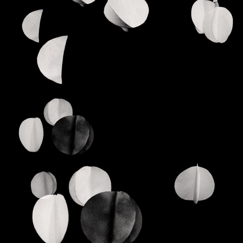 Paul Cupido, Ma Continuum, 2024