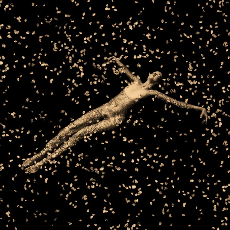 Paul Cupido, Flower Bath, 2025