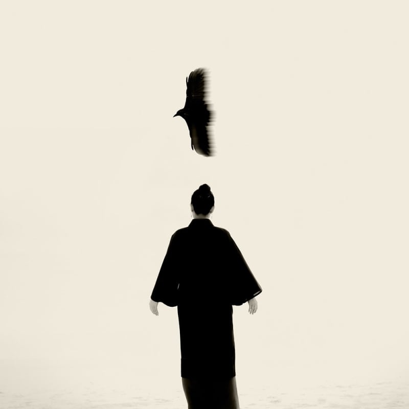 Paul Cupido, Nanae - Bird of Prey, 2023