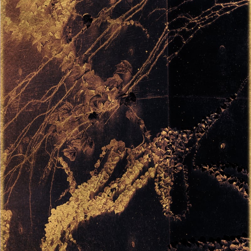 Albarrán Cabrera, The Mouth of Krishna #2001, 2016