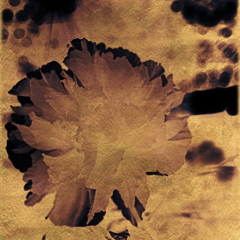 Albarrán Cabrera, The Mouth of Krishna #2003, 2014
