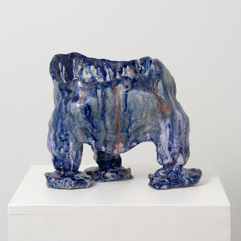 Emily Orta, I stopped taking medecine and let the purple bloom, 2024