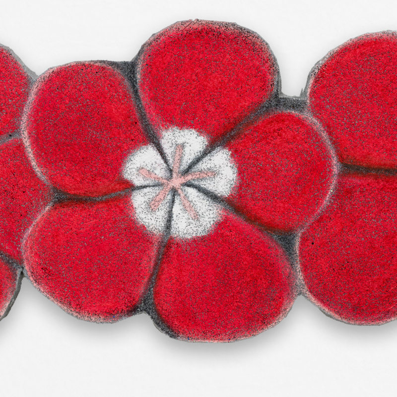 Hamish Chapman, 3 Red Geraniums, 2024