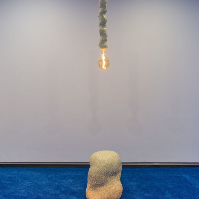 Linda Nguyen Lopez, Truths (lamp and stool), 2021