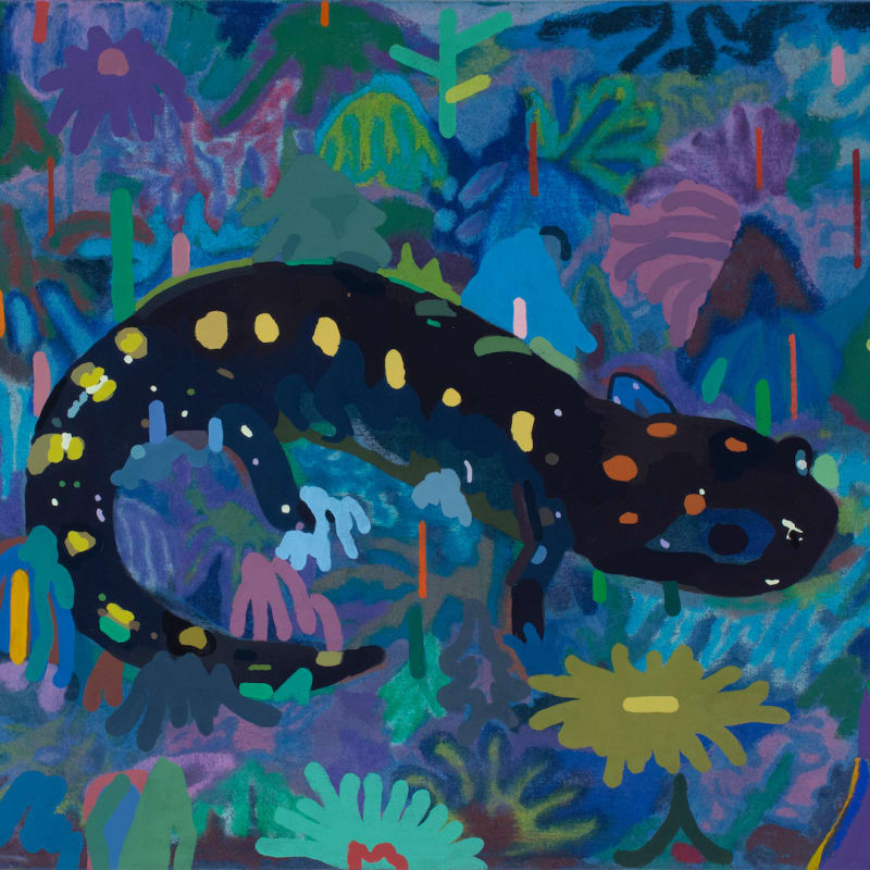 Leon Benn, Spotted Salamander, 2022