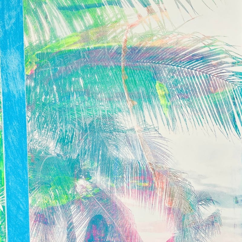 Adee Roberson, June Plum (Nneka in Negril) , 2024