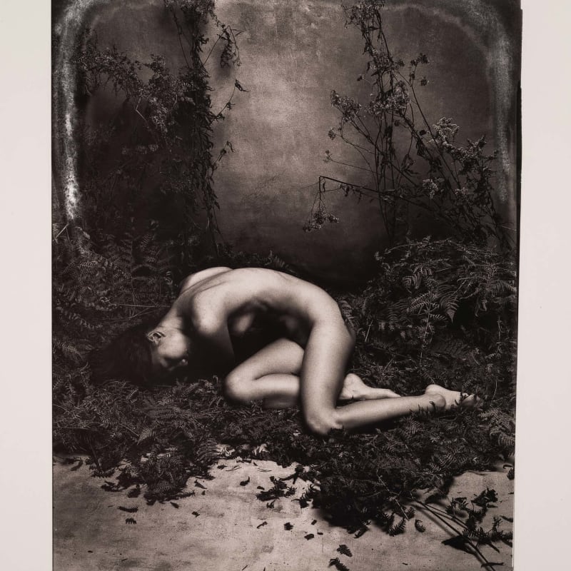Jan C. Schlegel, Kim with Fern I, 2020
