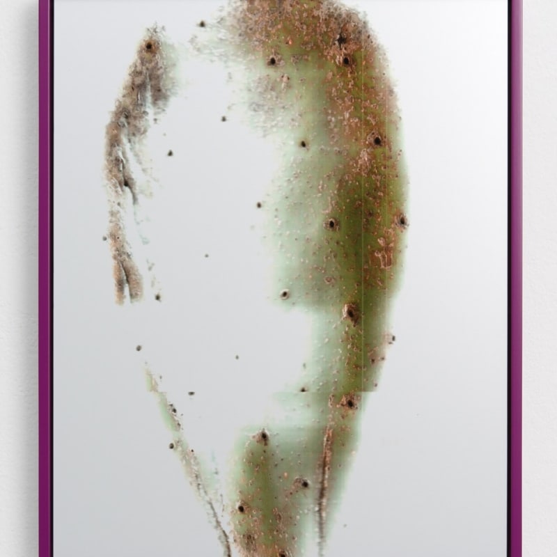 Adrien Missika, Cactus Frottage G, 2012