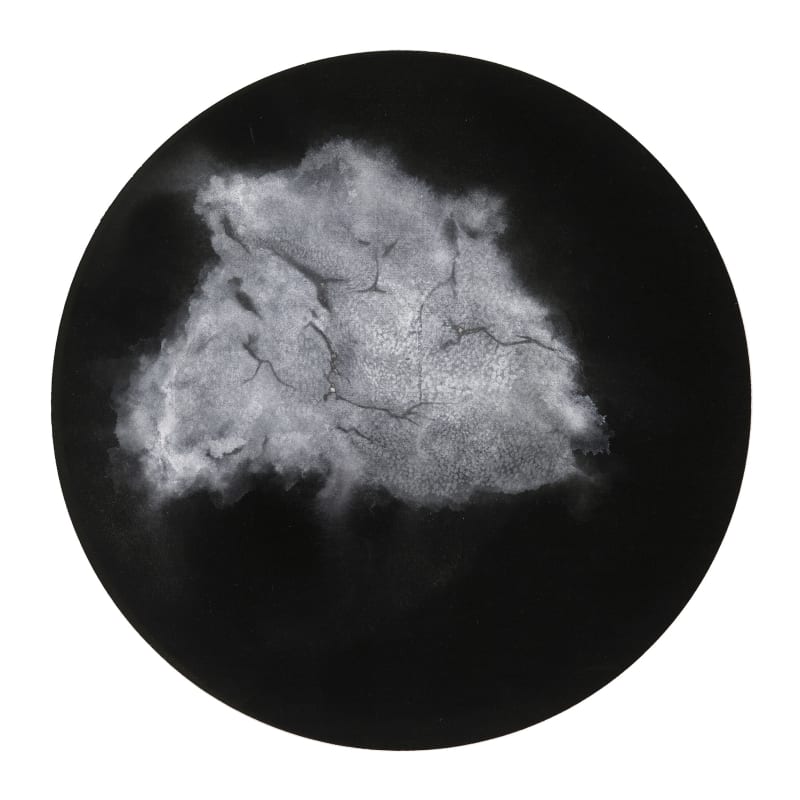 Bingyi 冰逸, 渙, 2015