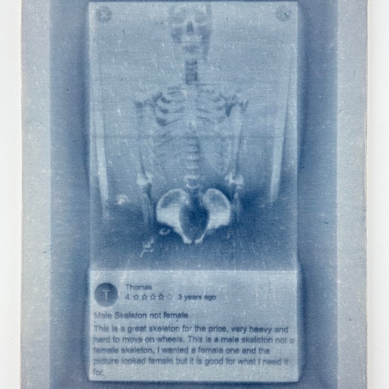 Ren Light Pan, Untitled (thomas in blue), 2024
