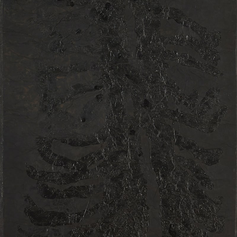 Yang Jiechang 杨诘苍, Earth Roots 地脉, 1994-1996