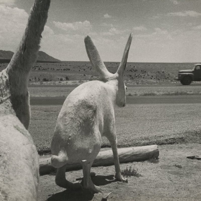 Ernst Haas Land of Enchantment, New Mexico, USA Tirage gélatino-argentique d'époque 33 x 22 cm