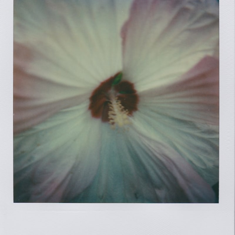 Marion Dubier-Clark Heart Polaroid 7,7 x 7,9 cm 2.76 x 2.76 in Dim. papier: 10,7 x 8,8 cm