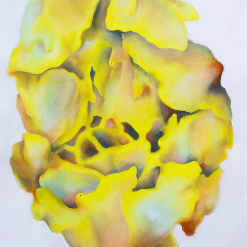 Camille Pradon, Assemblage [refuge] #2, 2024