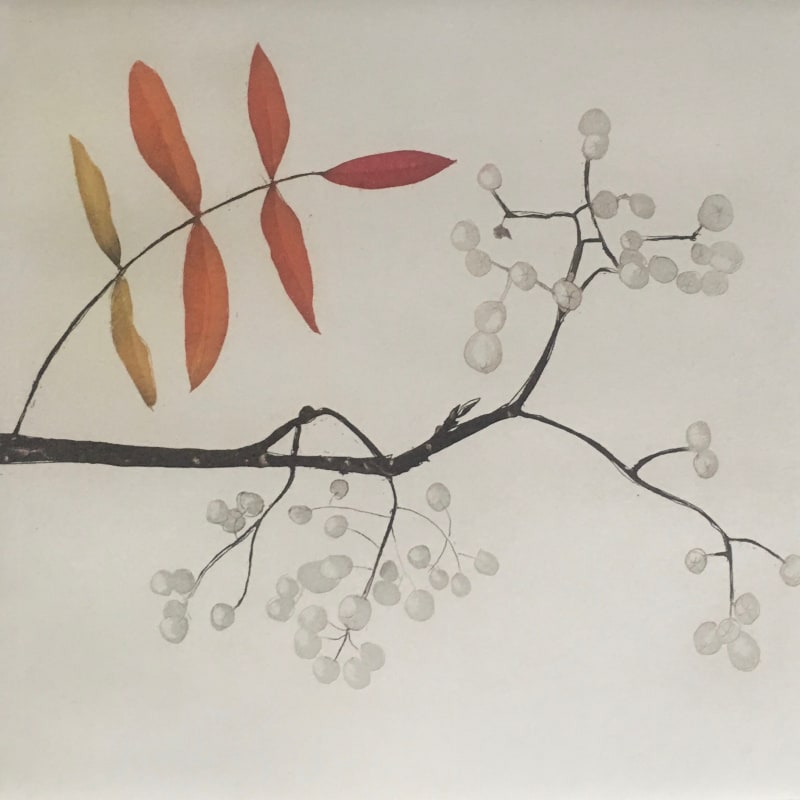 Cliona Doyle, Sorbus, 2014