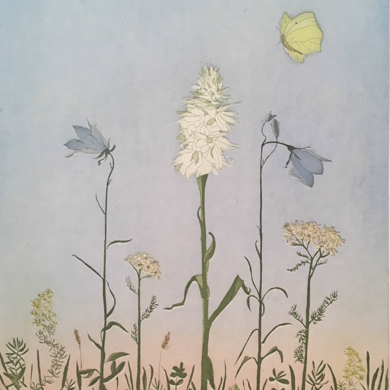 Cliona Doyle, Wild Orchid, 2018