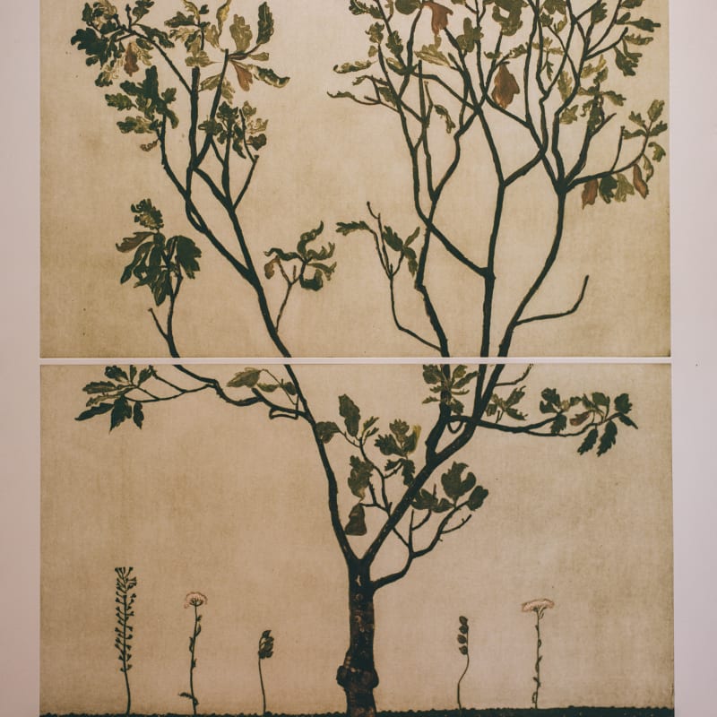 Cliona Doyle, Oak Tree, 2023