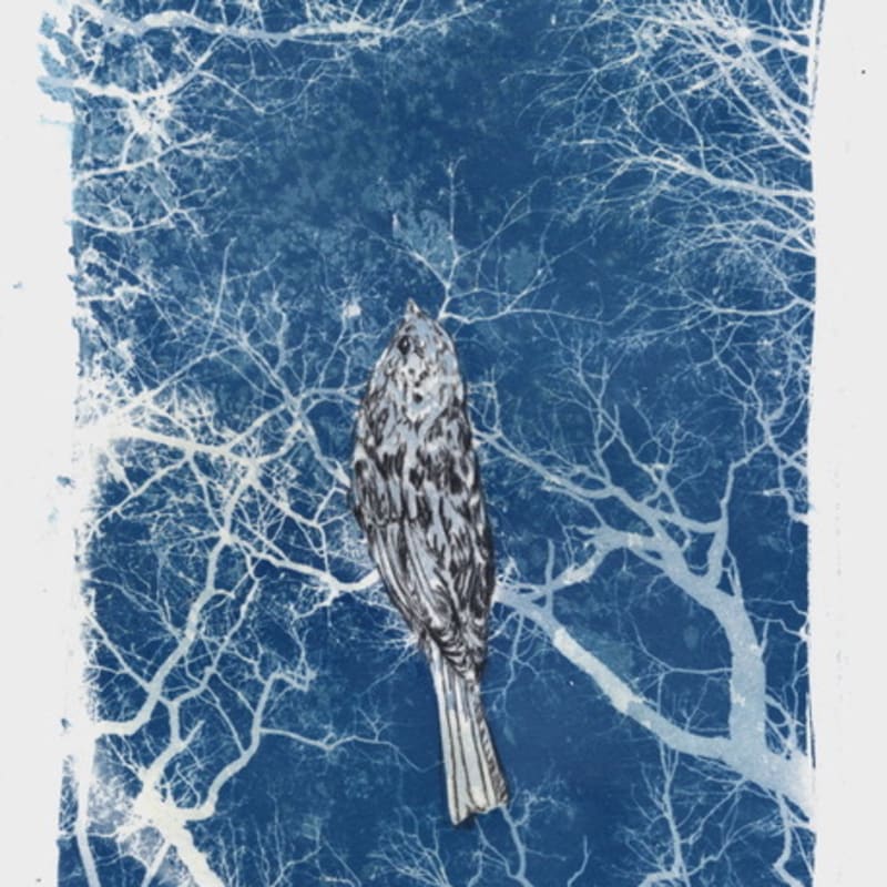 Melanie Miller, Sparrow, 2019