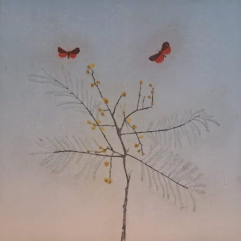 Cliona Doyle, Mimosa , 2024