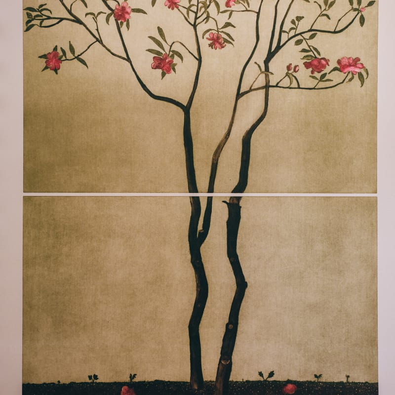 Cliona Doyle, Camellia Japonica, 2022