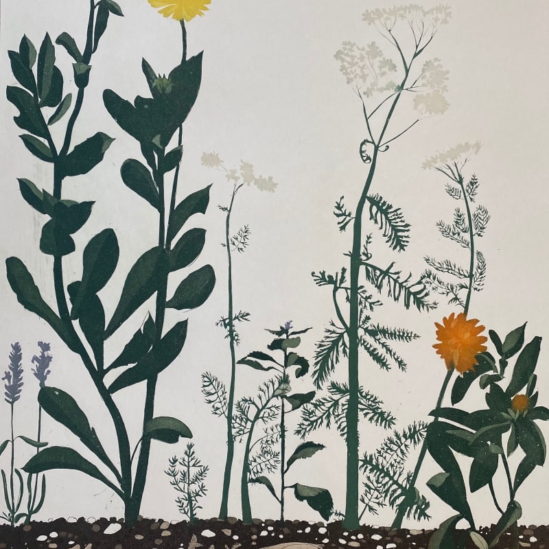 Cliona Doyle, Herb Garden , 2023