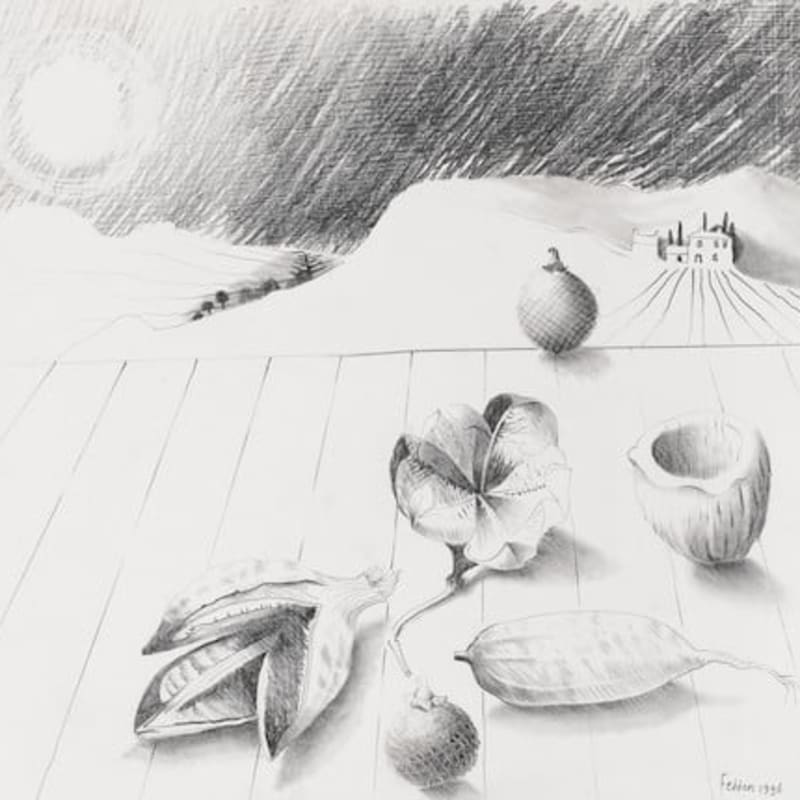 Mary Fedden, Barbara's Seeds, 1996