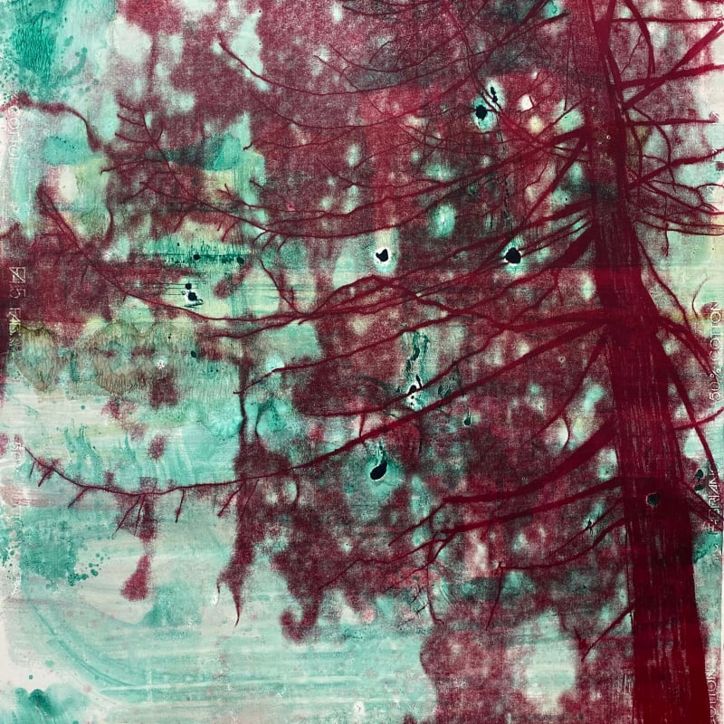 Nick Archer, Tree Form 4, 2024