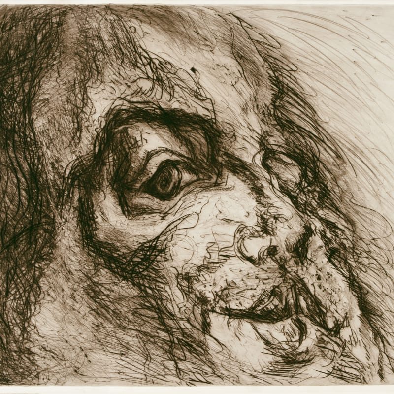 Marwan, Face landscape, 1975