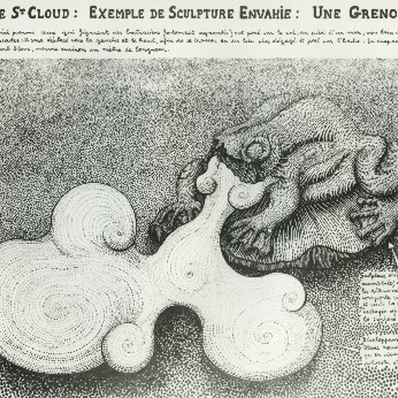 Robert Malaval Parc St-Cloud - Une Grenouille dessin à l'encre de chine 50 x 64 cm