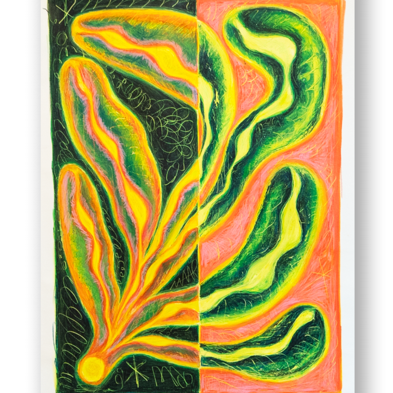 Anaïs Maar, A toi - From the series A Flower for Each Stroke / Battements, 2025