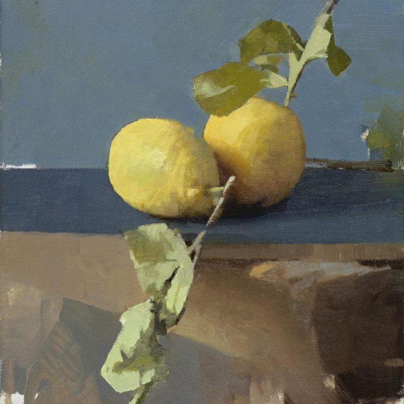 Diarmuid Kelley, Untitled (Lemons), 2011