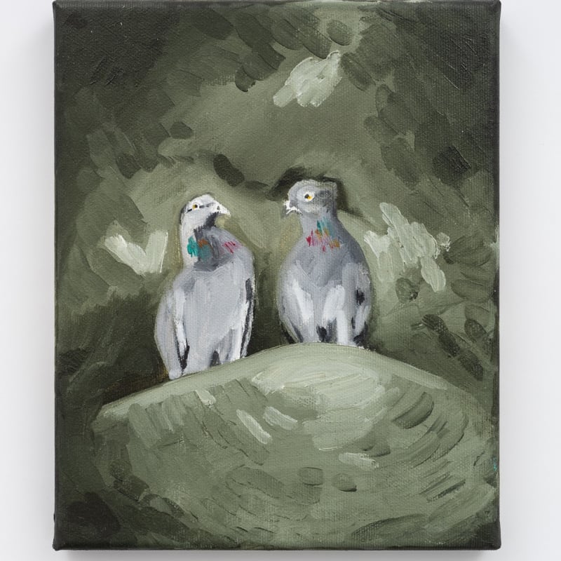 Adham Faramawy, Pigeons on a monument (Rock Doves), 2023