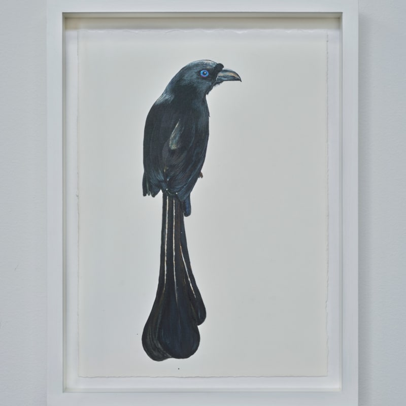 Sutapa Biswas, Crow, 2024