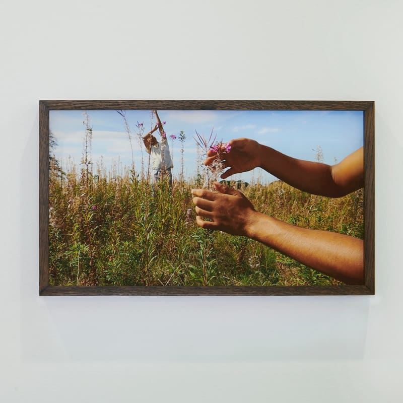 Adham Faramawy, The air is subtle various and sweet (fireweed), 2022