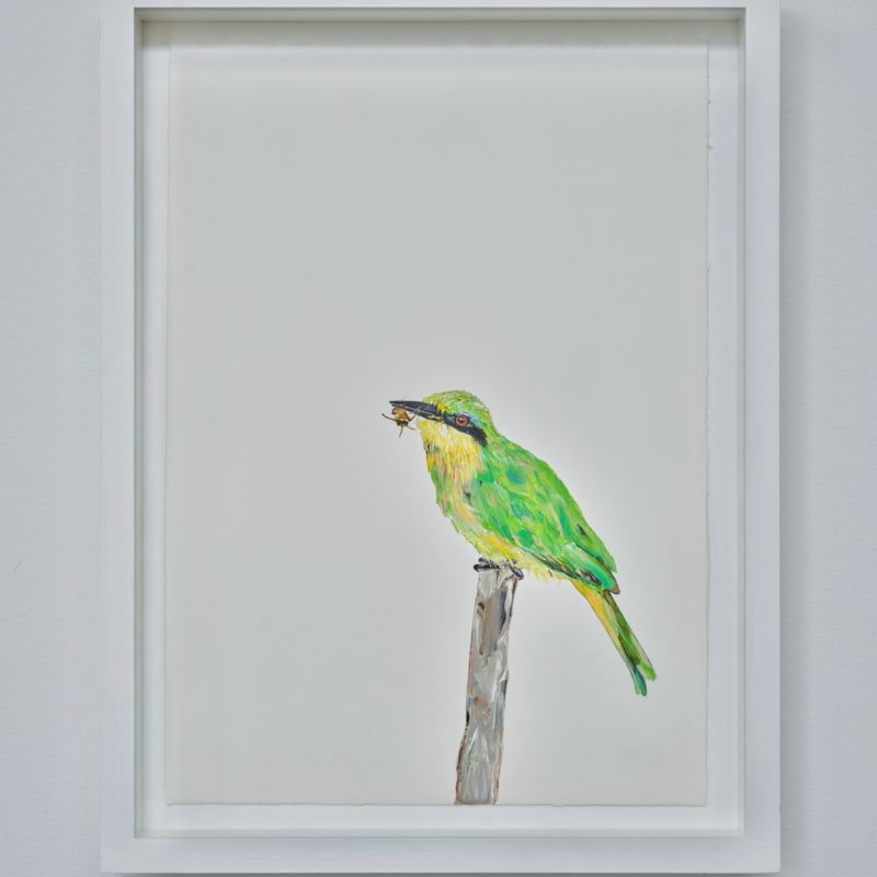 Sutapa Biswas, Bee-eater, 2024