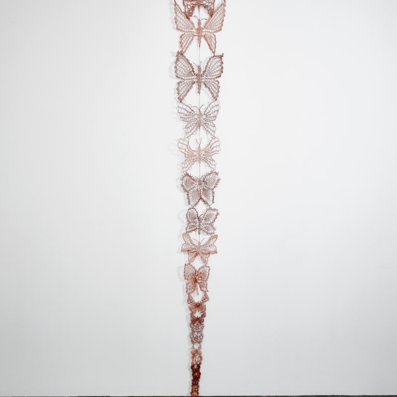ektor garcia, mariposas, 2021