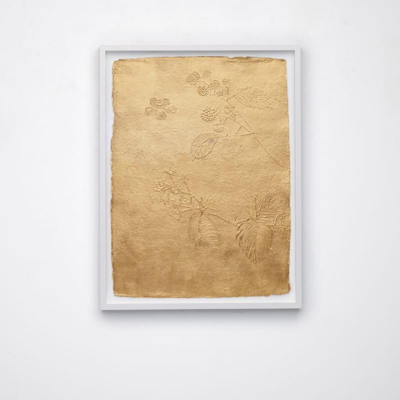 Stacy Lynn Waddell, Untitled (Blackberry), 2024