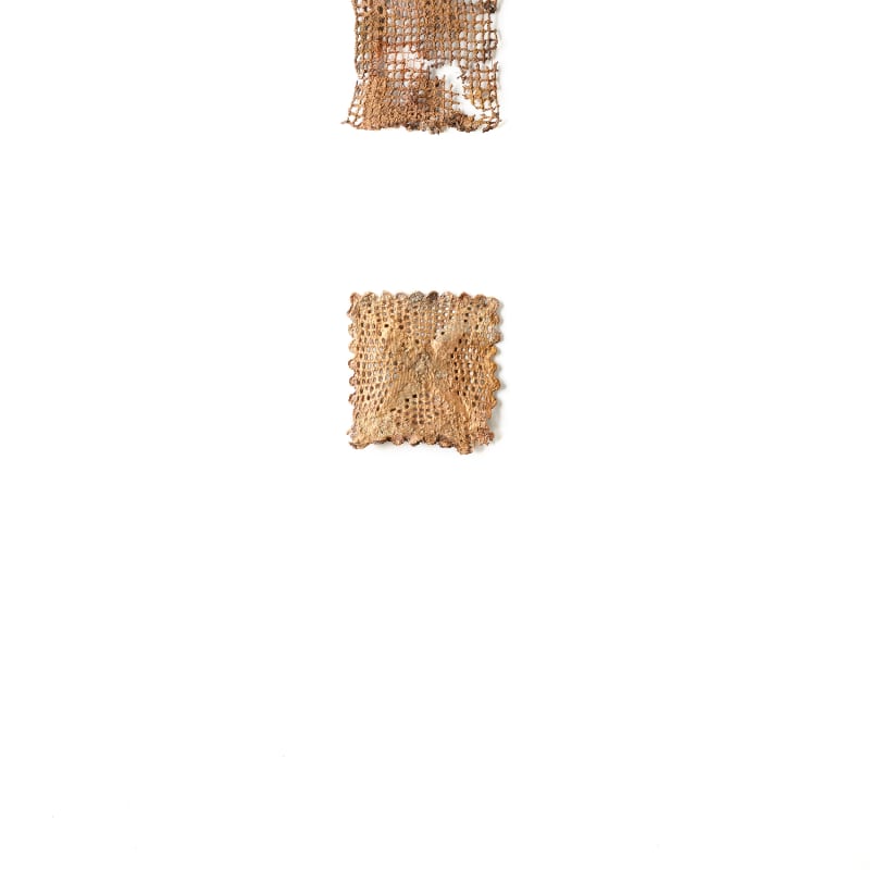 ektor garcia, triptych, 2021