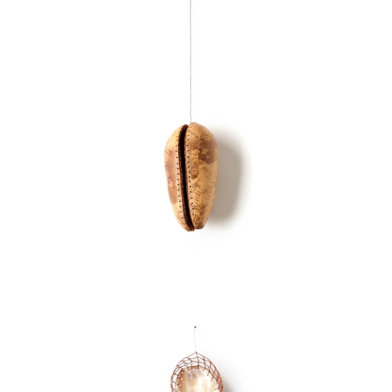 ektor garcia, gourd & shell, 2021