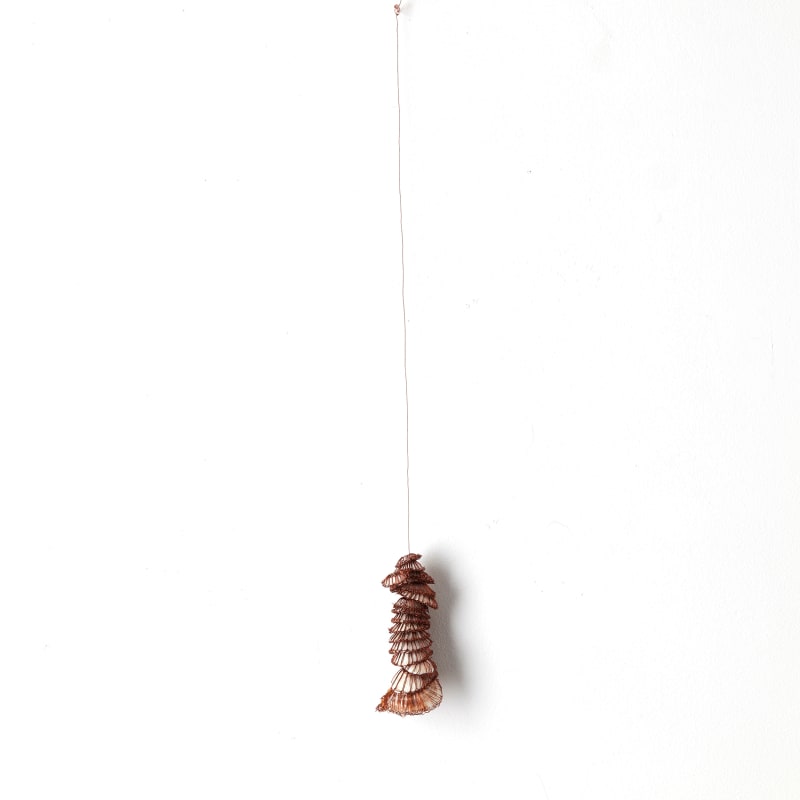 ektor garcia, shells, 2021