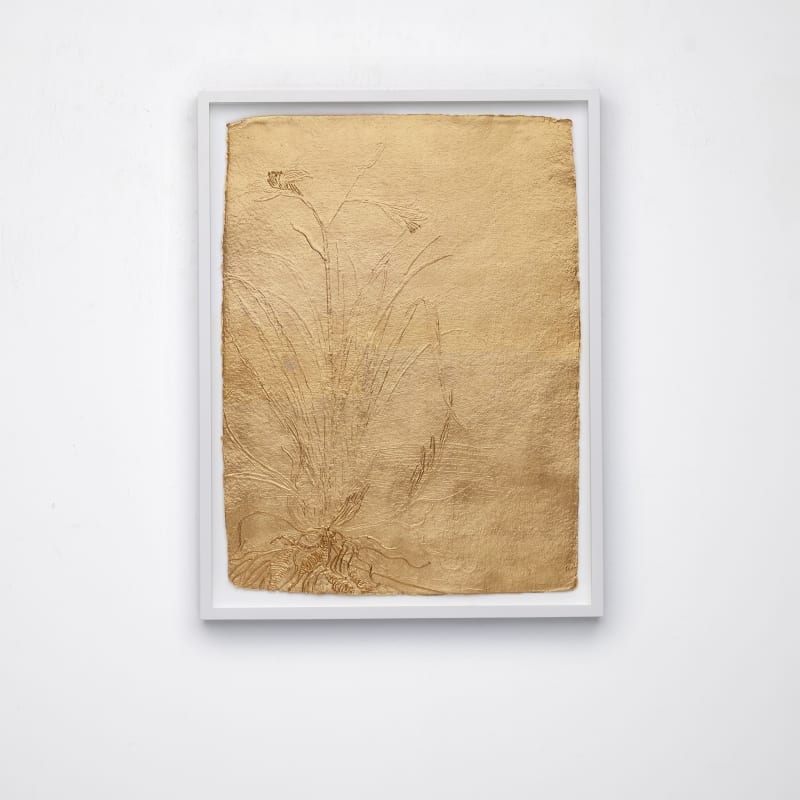 Stacy Lynn Waddell, Untitled (Lemon Daylily), 2024