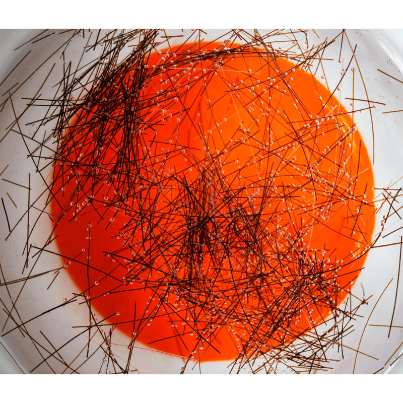Jo Bentdal  The Law of the Instrument, The Anthropic Principle / Dyson Sphere, 2017  Pigment Print  Image size 72 x 108 cm  Paper size 82 x 118 cm  Edition of 5 plus 2 artist's proofs