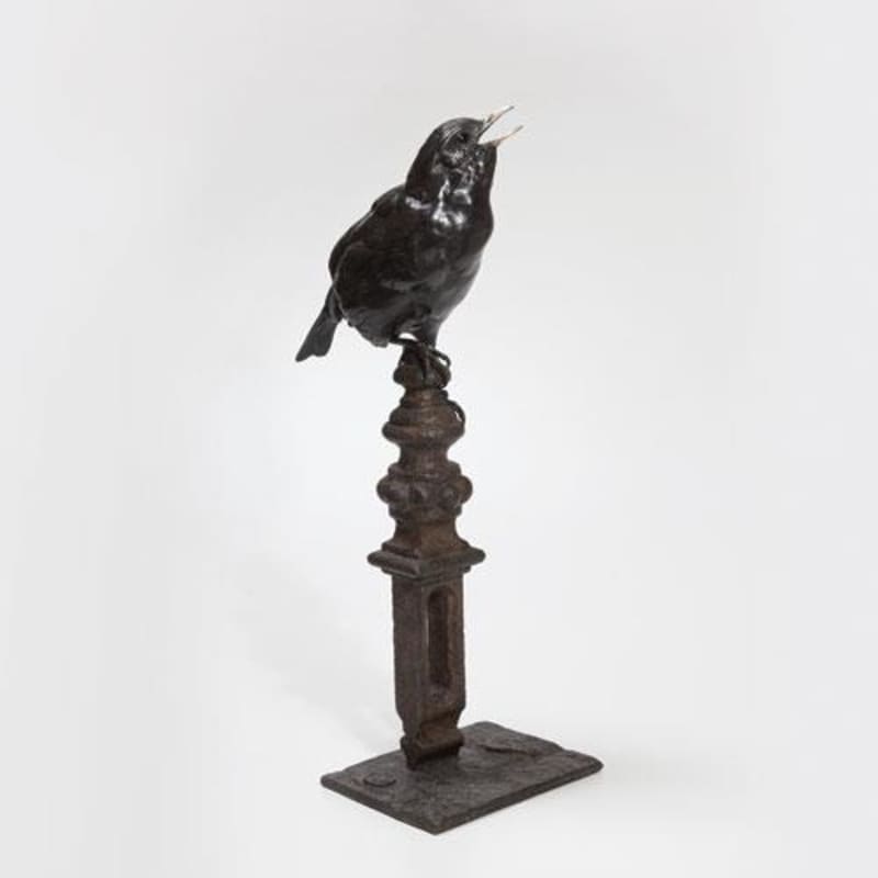 Bryan Hanlon Bronzes  BLACKBIRD  Bronze  14 x 4 x 5 in. 35.56 x 10.16 x 12.7 cm  1/12